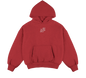 Physical fitness Amstar hoodie