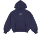 Physical fitness Amstar hoodie