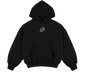 Physical fitness Amstar hoodie